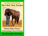 DVD: Lesson 8: Three-Flip-Three