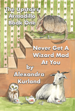 1 Never Get A Wizard Mad at You: Book One in the Upstairs Armadillo Series - Paperback